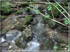 foto Lago del Corlo